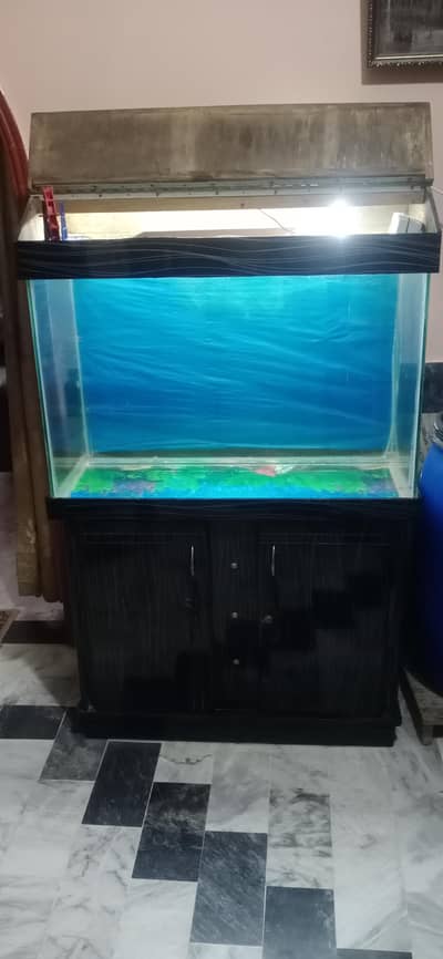 fish equrium