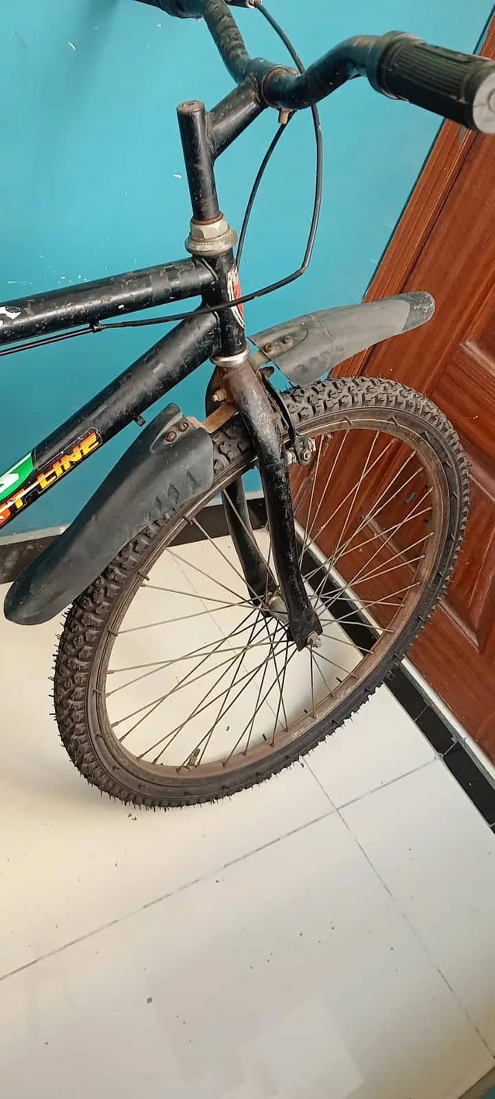 Cycle 5