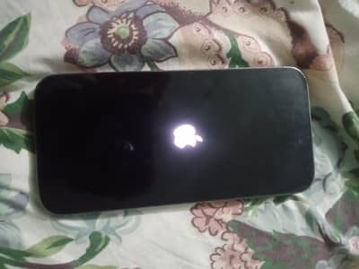 14promax byepass Cemra ok  face id ok 256Gb back broken