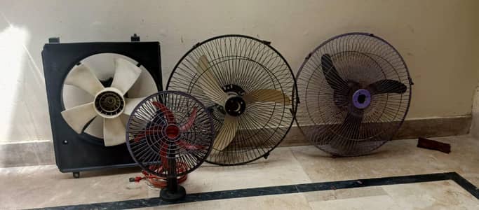 Fans sogo