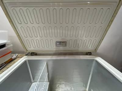 Freezer for Sale – Not Cooling / For Repair or Parts