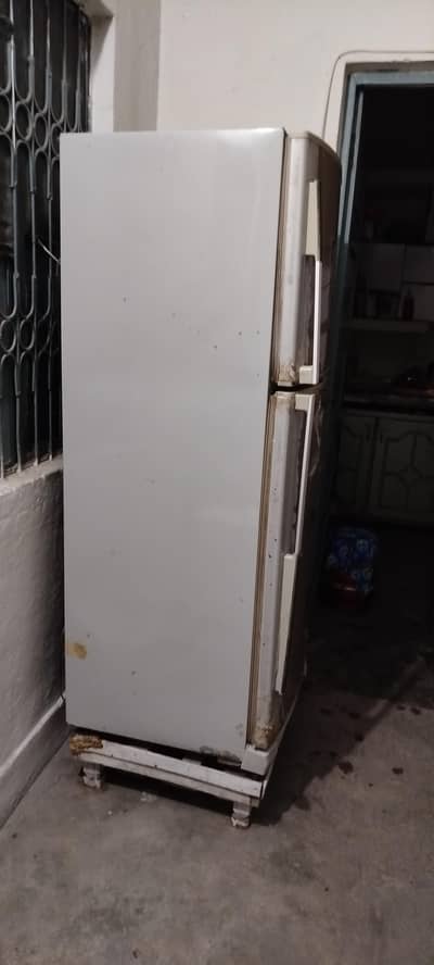 Good cooling Large size refrigerator