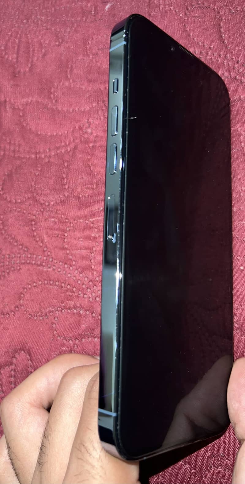 Apple iPhone 13 Pro Max 1