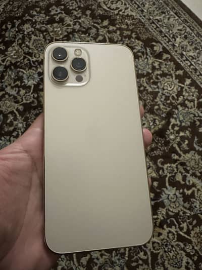 iPhone 12 pro max