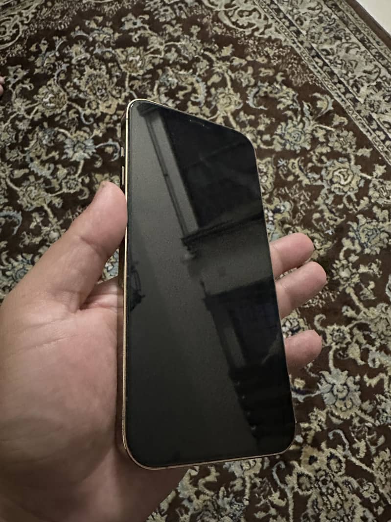 iPhone 12 pro max 1
