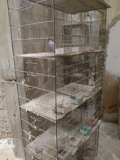 8 portion cages available     03032293774