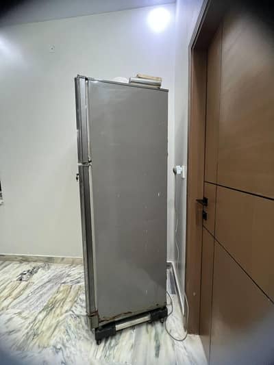 pel aspire fridge