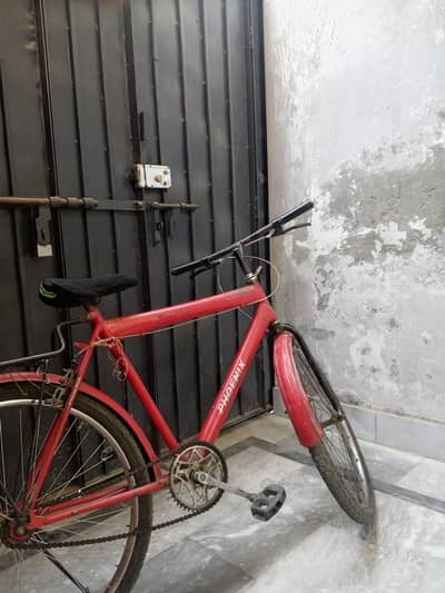PHOENIX CYCLE