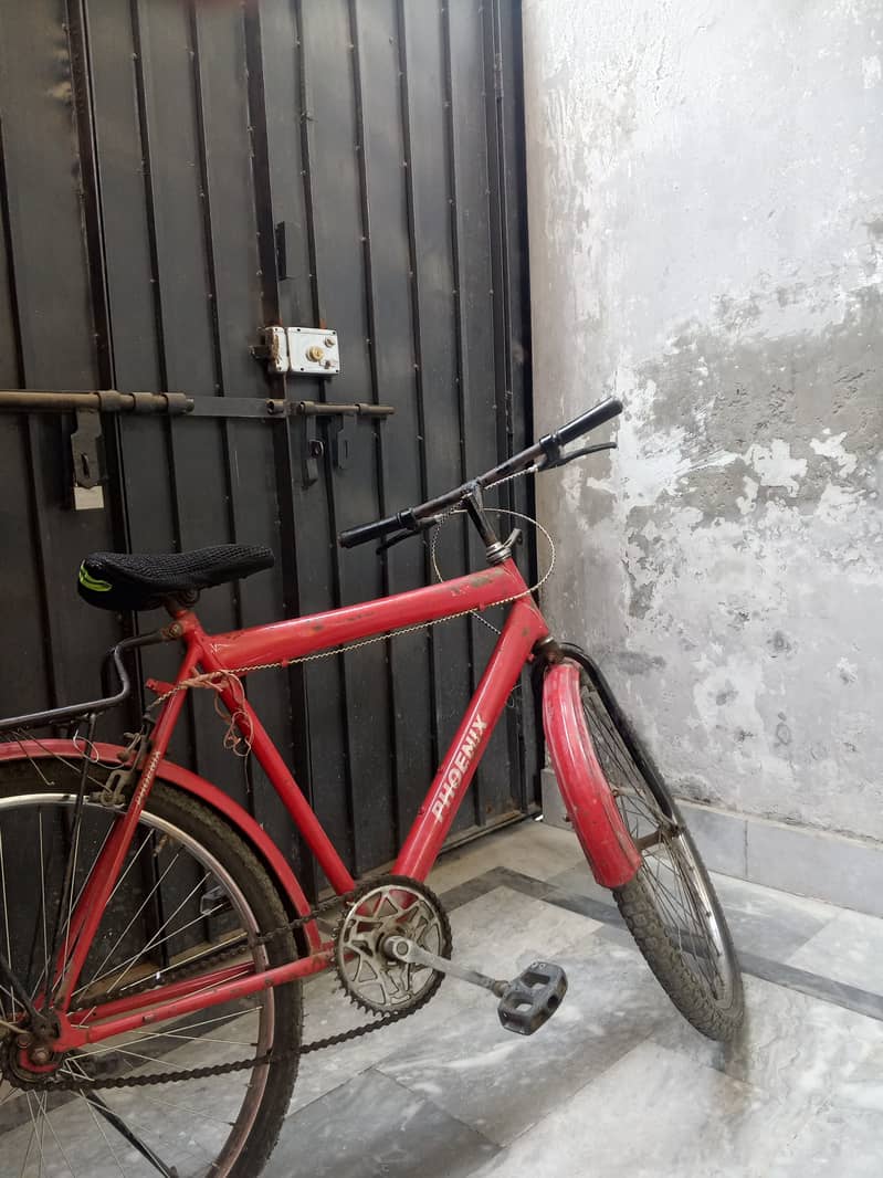 PHOENIX CYCLE 0
