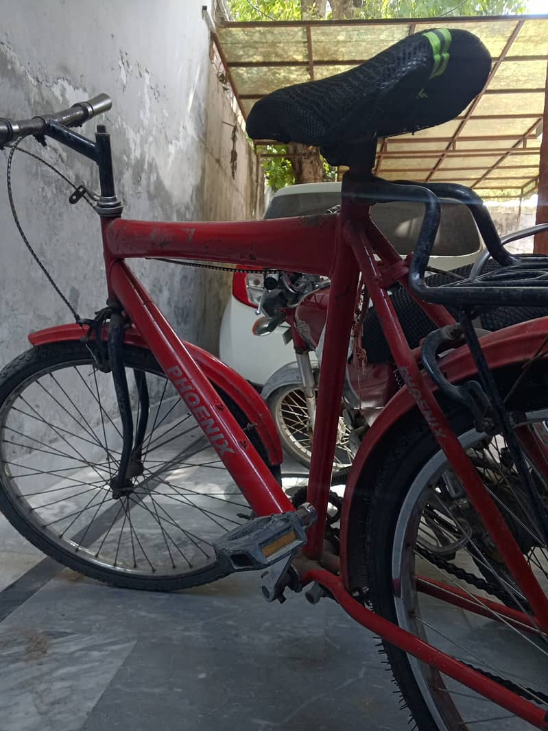 PHOENIX CYCLE 2