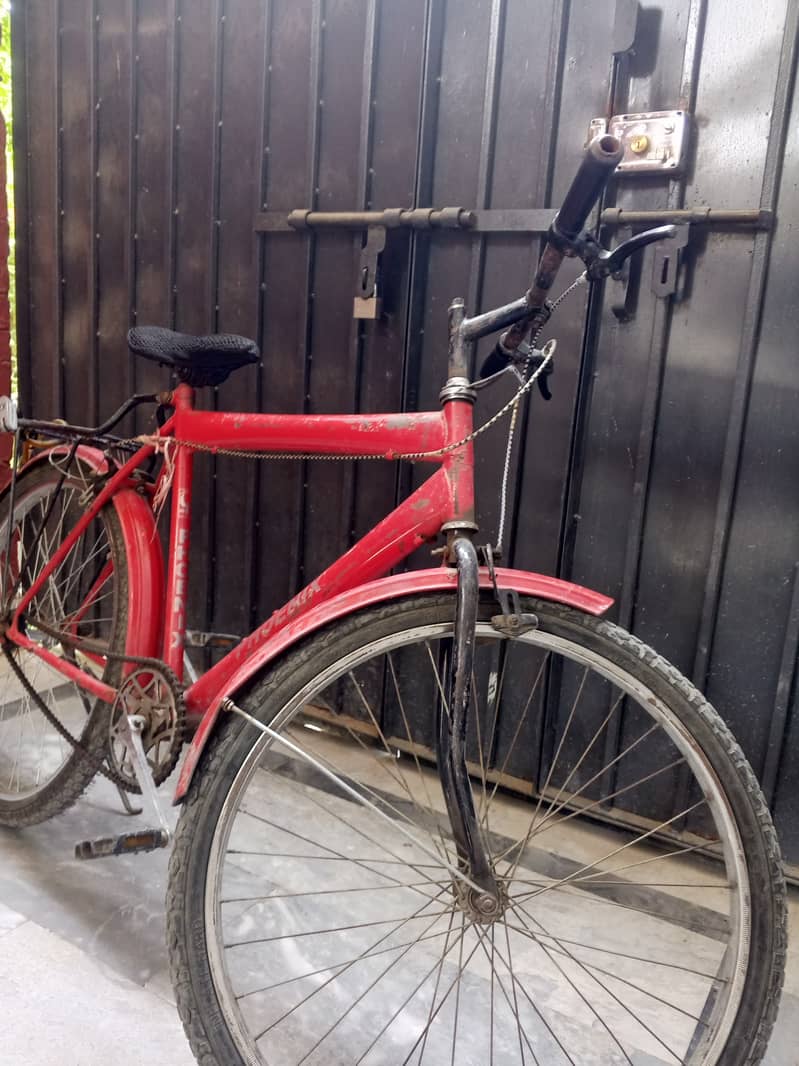 PHOENIX CYCLE 3