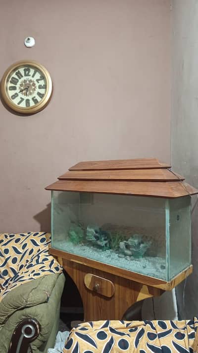 Aquarium