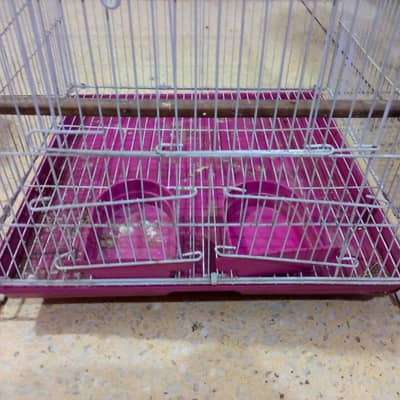 bird cage