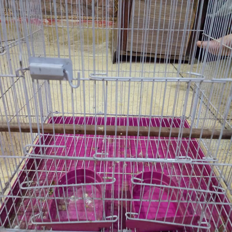bird cage 1