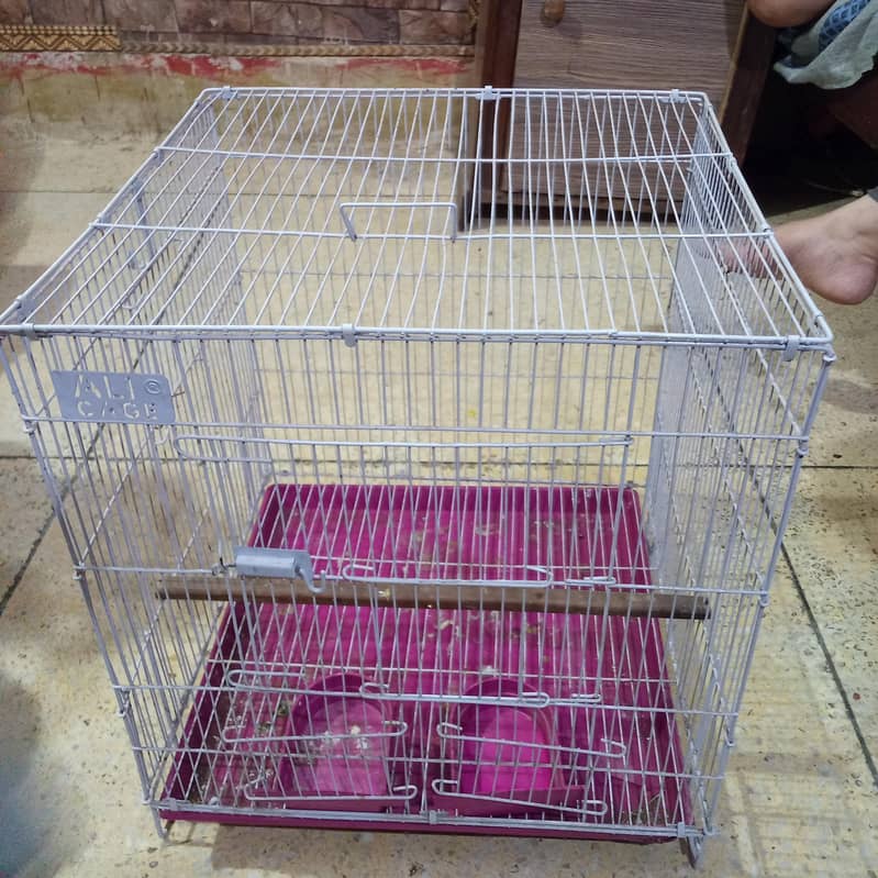 bird cage 2