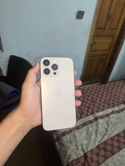 Apple iPhone 16 Pro Max panel and back changed