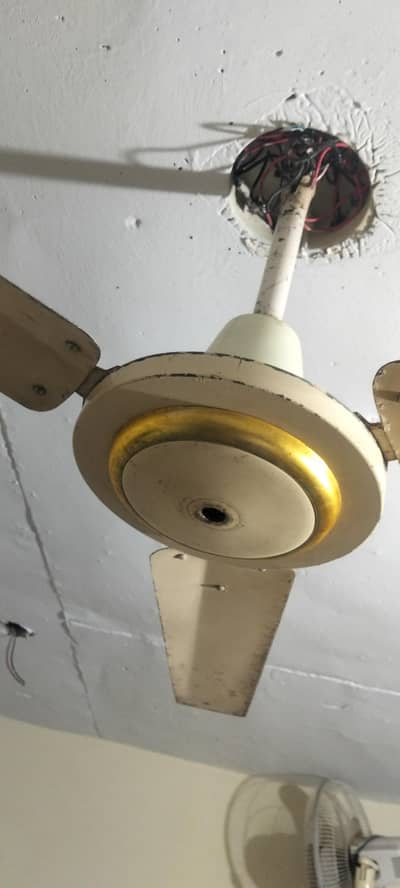 Ceiling Fan