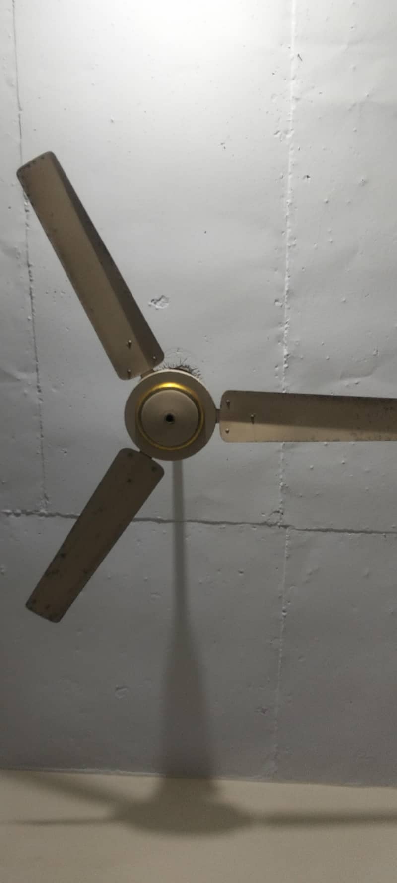 Ceiling Fan 1