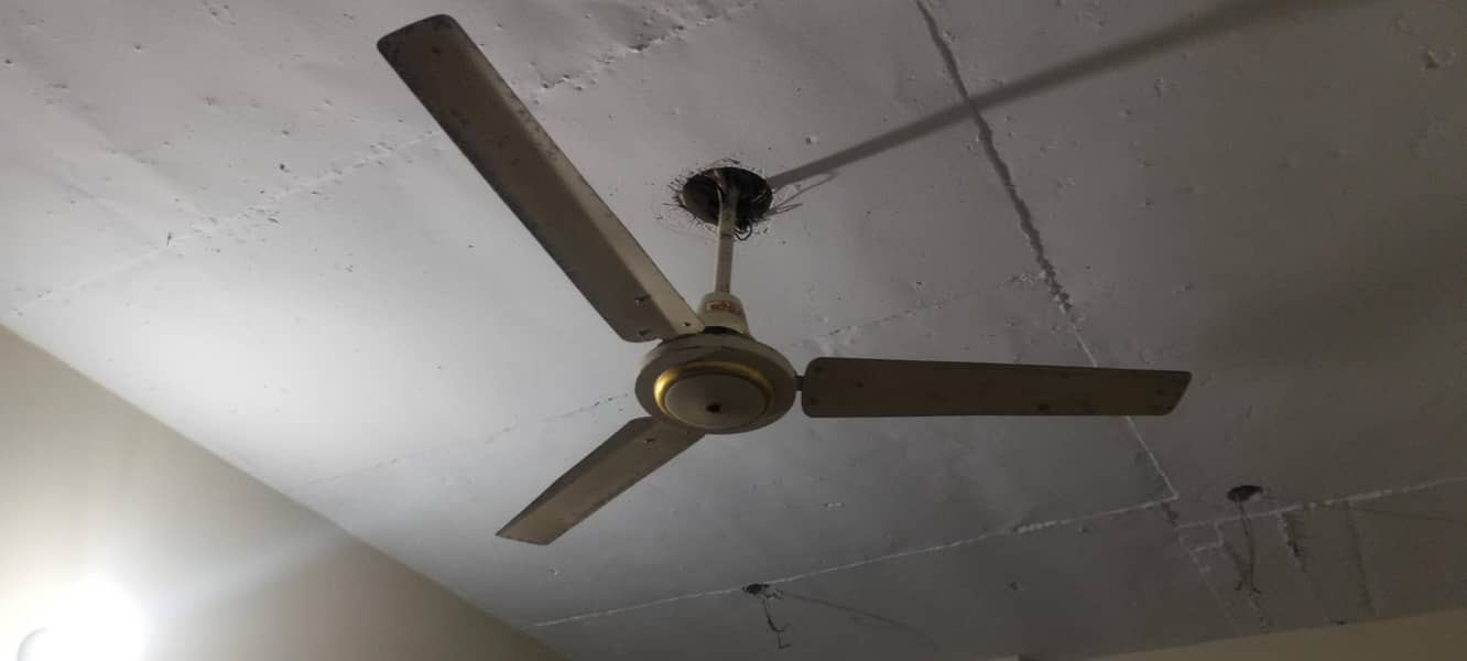 Ceiling Fan 2