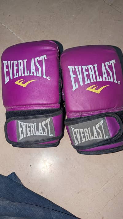 boxing gloves  hight quality 10 by 10