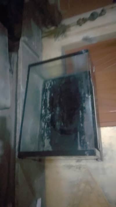 3x2 Feet Big Size Aquarium Fish Tank - 7K Sale