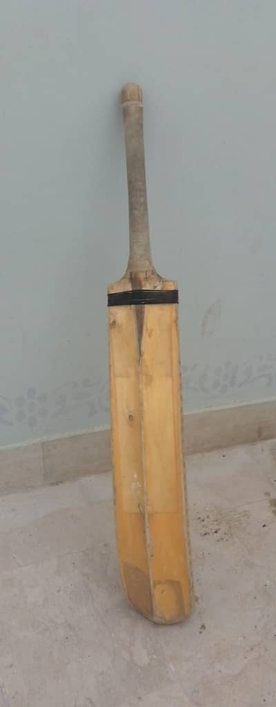 Cricket bat