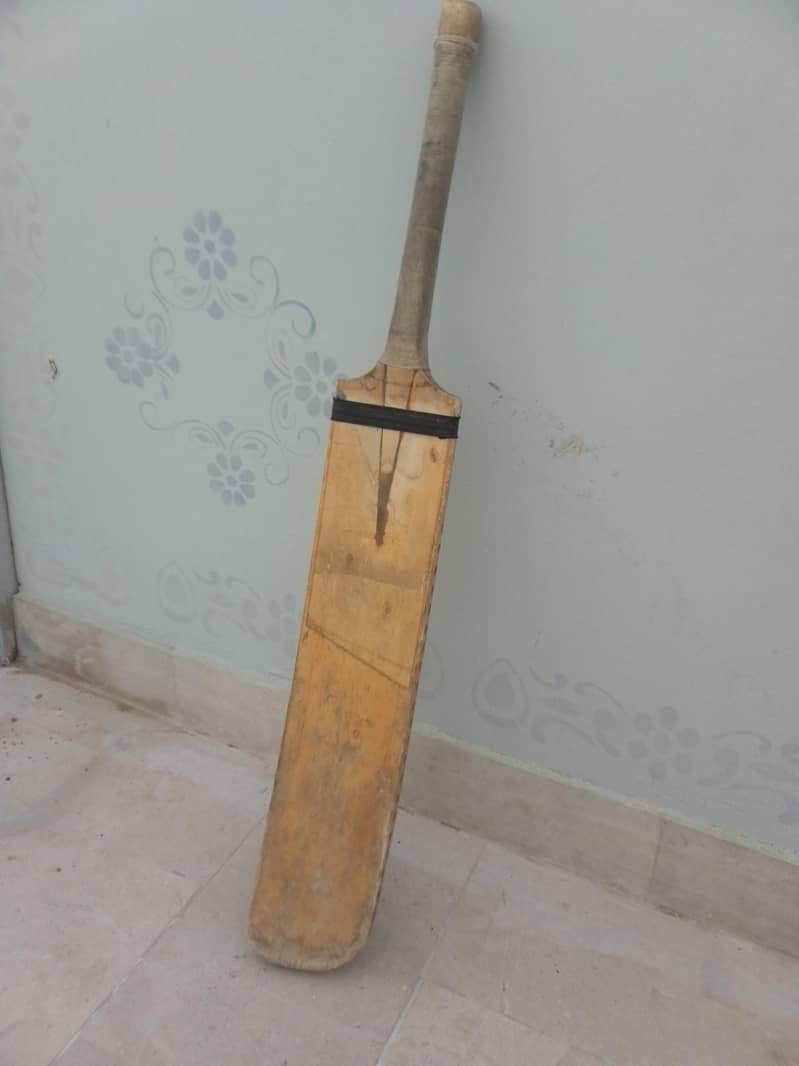 Cricket bat 1