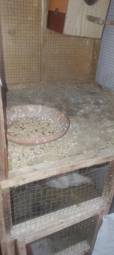 Cage for sale