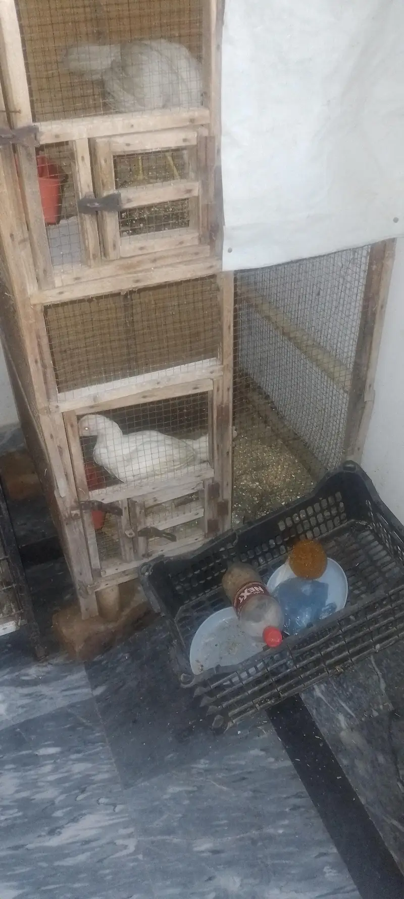 Cage for sale — photo 2