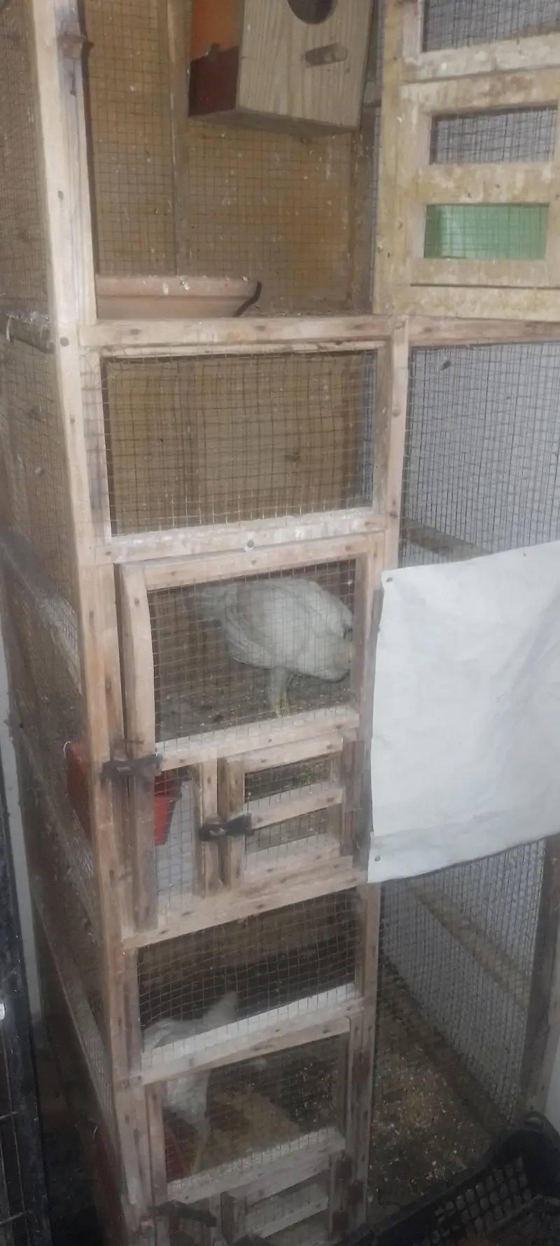 Cage for sale — photo 3