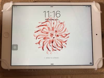 iPad mini 2 16GB
