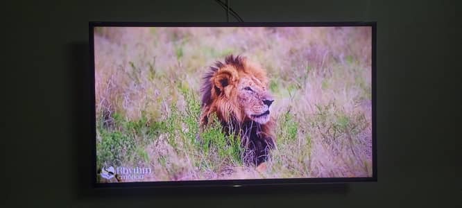 Smart TV/Android TV