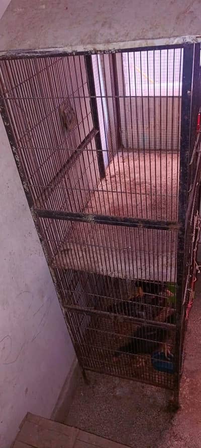 cage for Birds