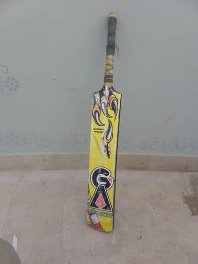cricket bat