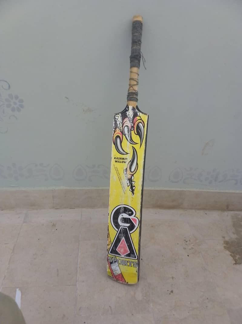 cricket bat 0