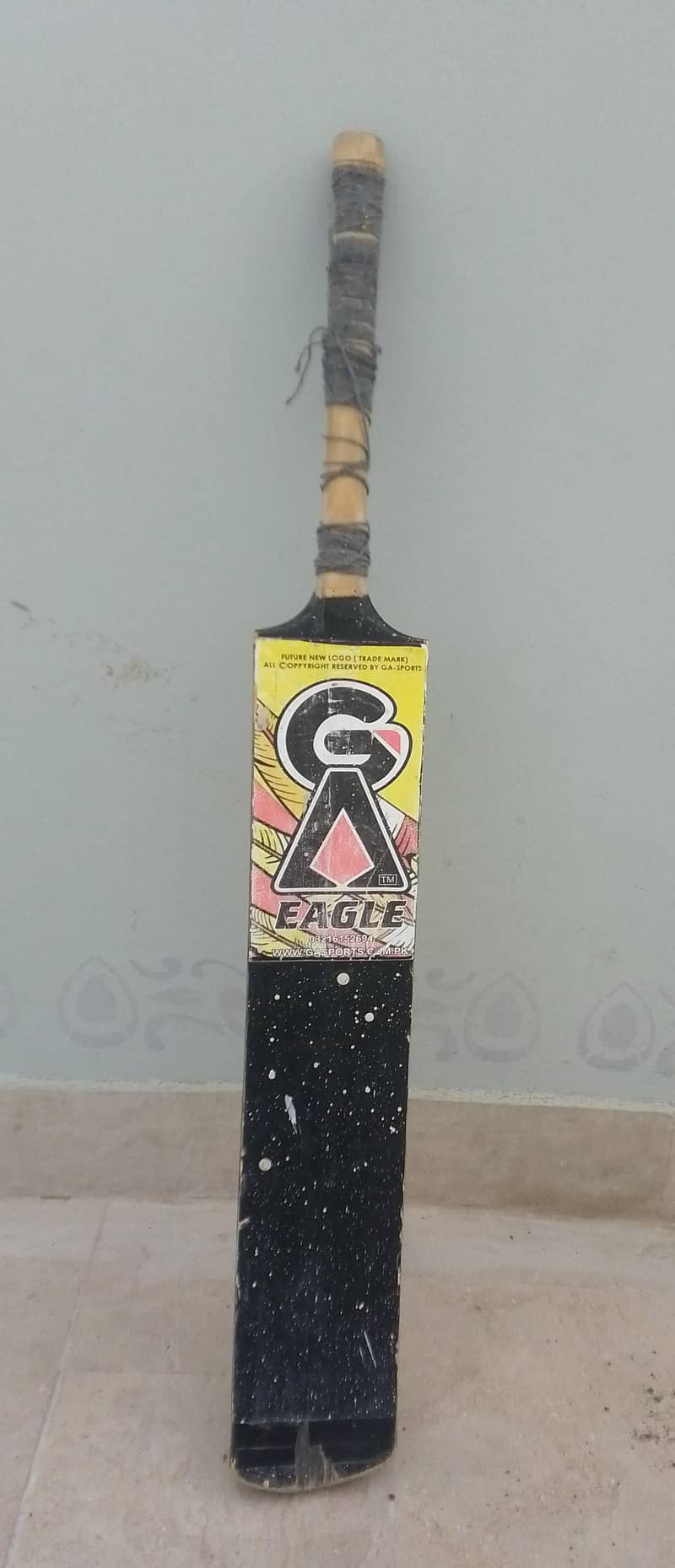 cricket bat 1