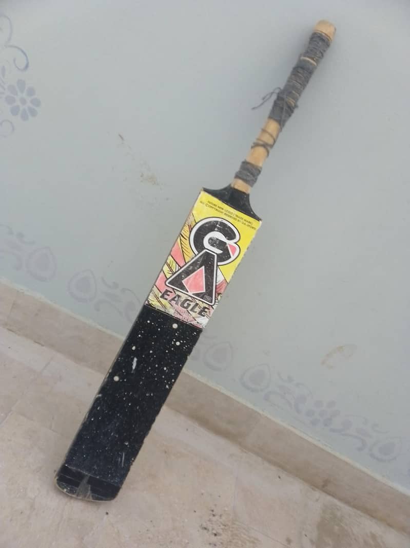 cricket bat 2