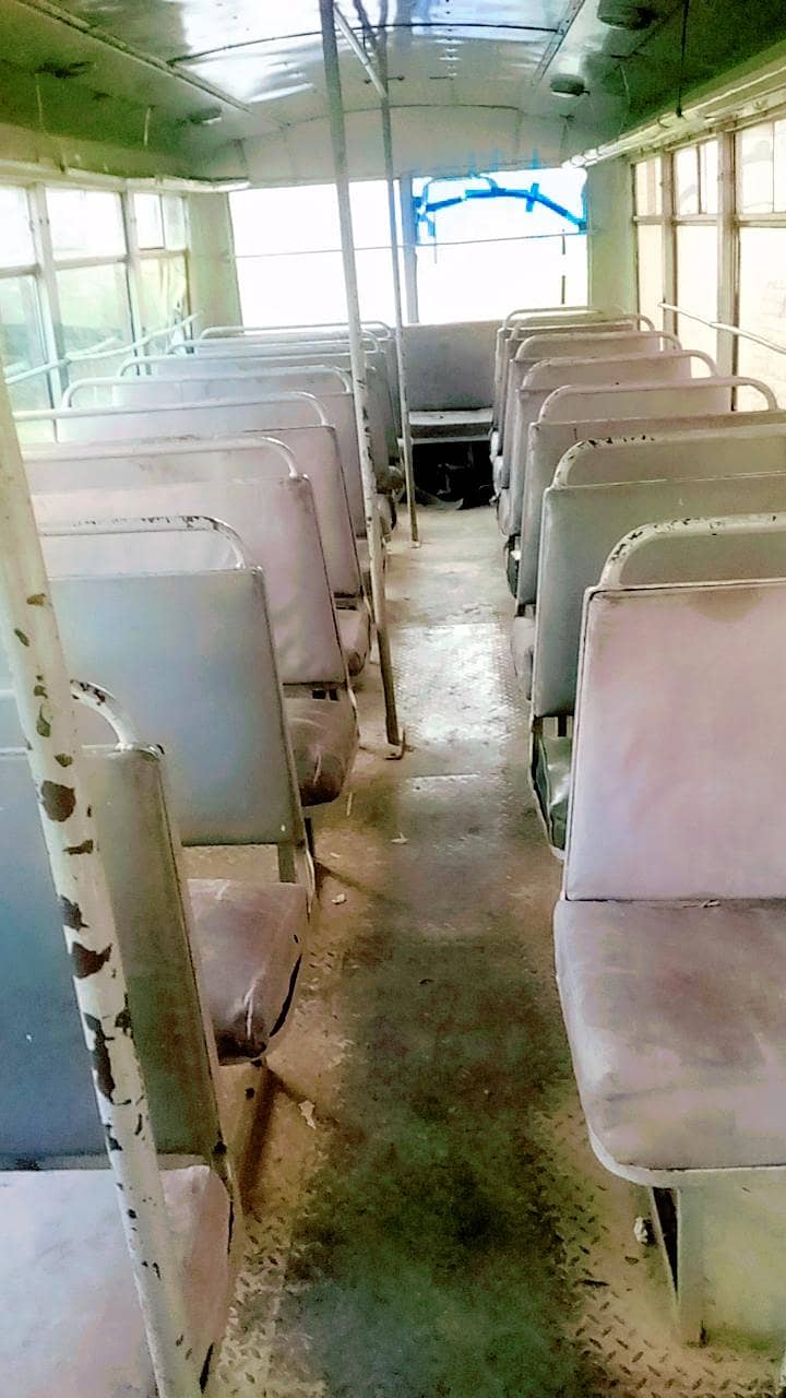 School Bus 4