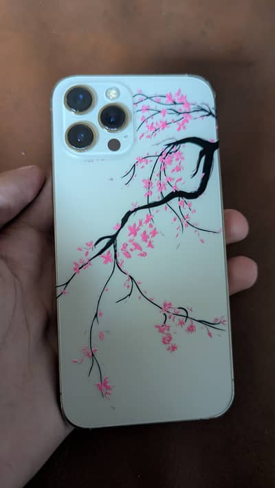 Iphone 12 promax