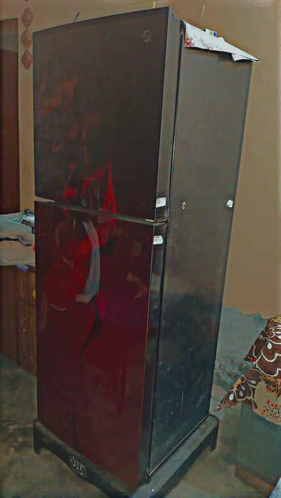 pell refrigerator corved Glass door