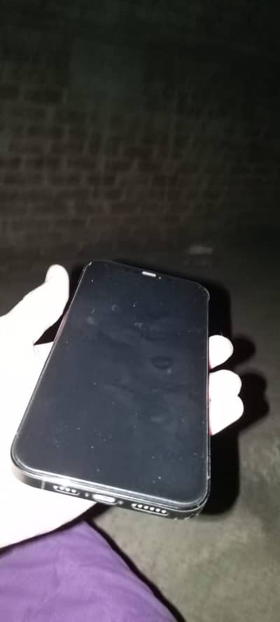 Apple iPhone 12 Pro Max