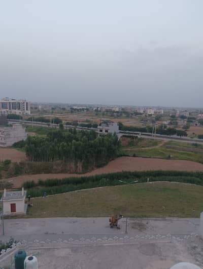 I 16/2 25x50 plot for sale
