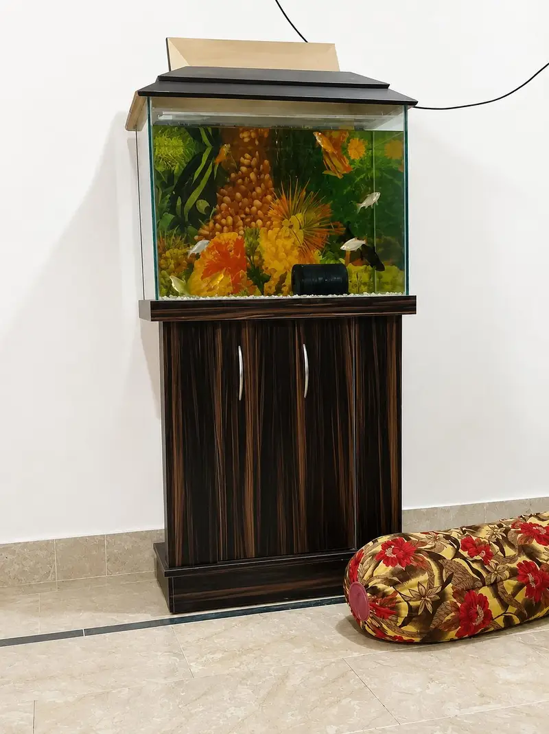  Premium Aquarium Setup for Sale