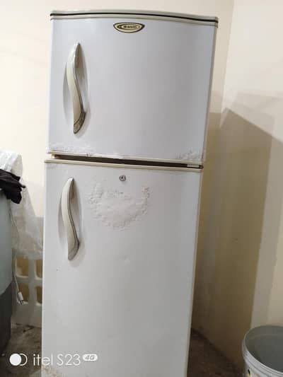 fridge