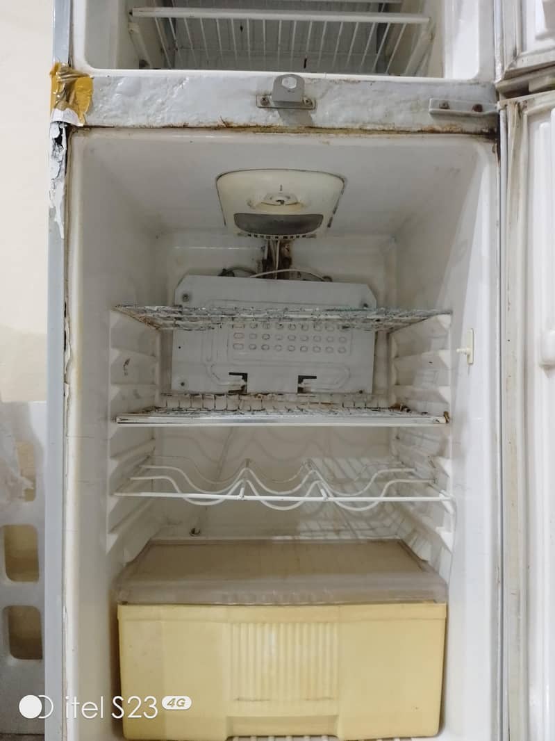 fridge 5
