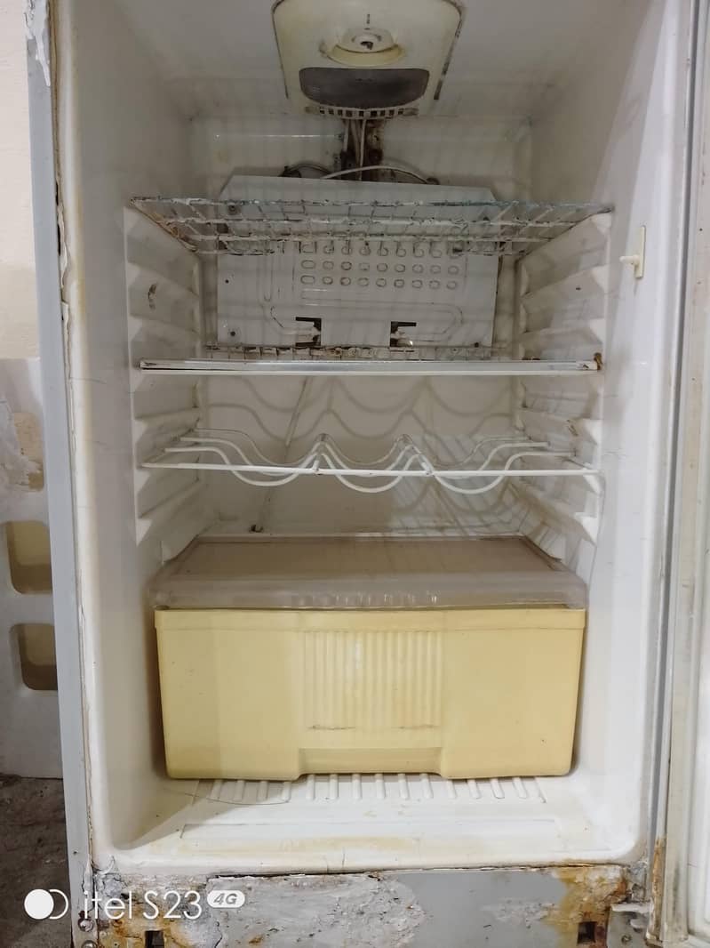 fridge 6