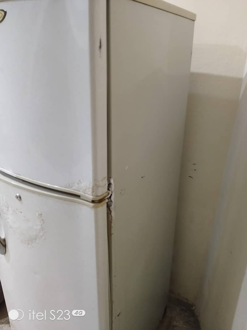 fridge 8