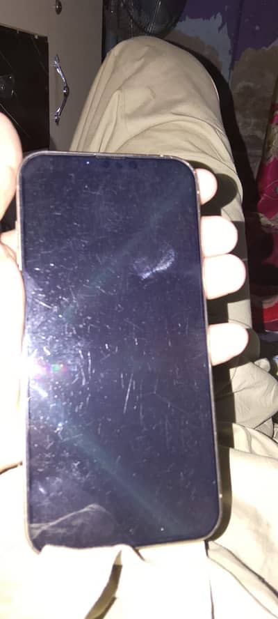 Apple iPhone 13 Pro Max