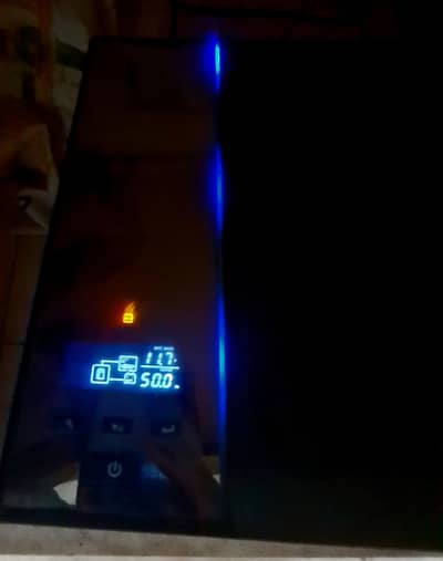 12445
