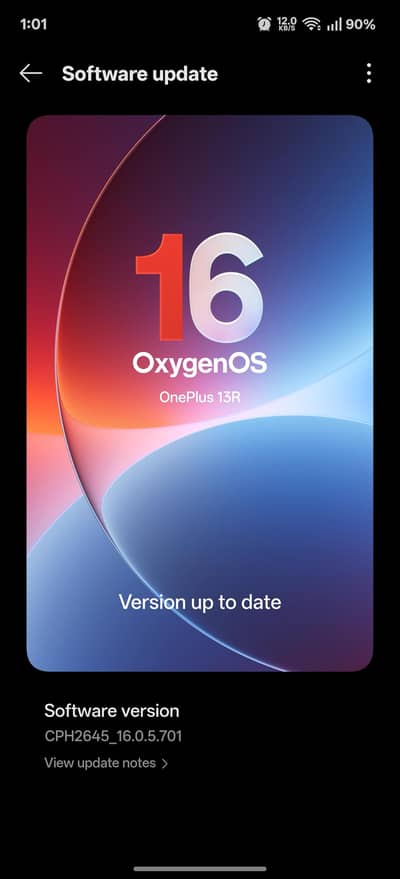 One Plus 13R